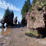 Parc Provincial Hopewell Rocks