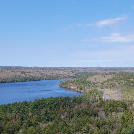 2 jours à Saint John’s : charme, nature et pubs animés
