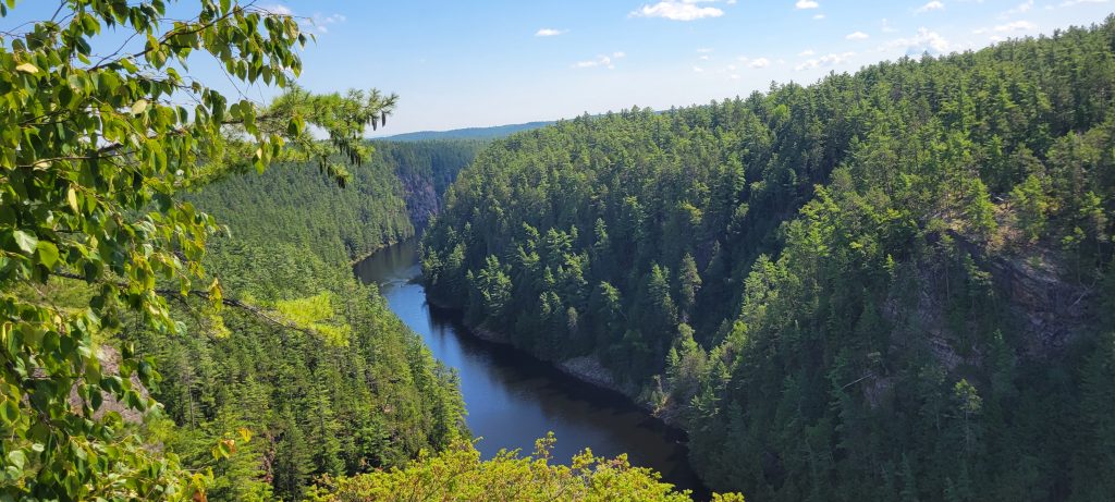Canyon trail