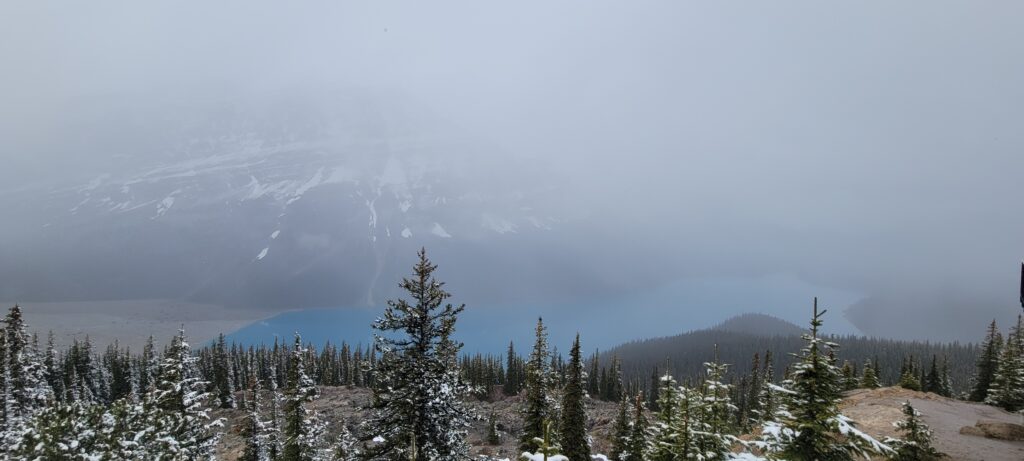 Lac Peyto