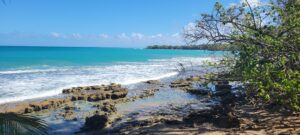 Les plus belles plages de Guadeloupe : top 10 paradisiaque